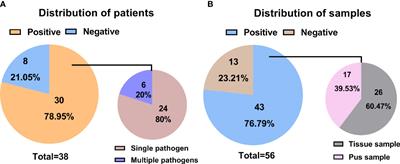 Evaluation of the metagenomic next-generation sequencing performance in pathogenic detection in patients with spinal infection